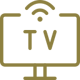 tv-monitor